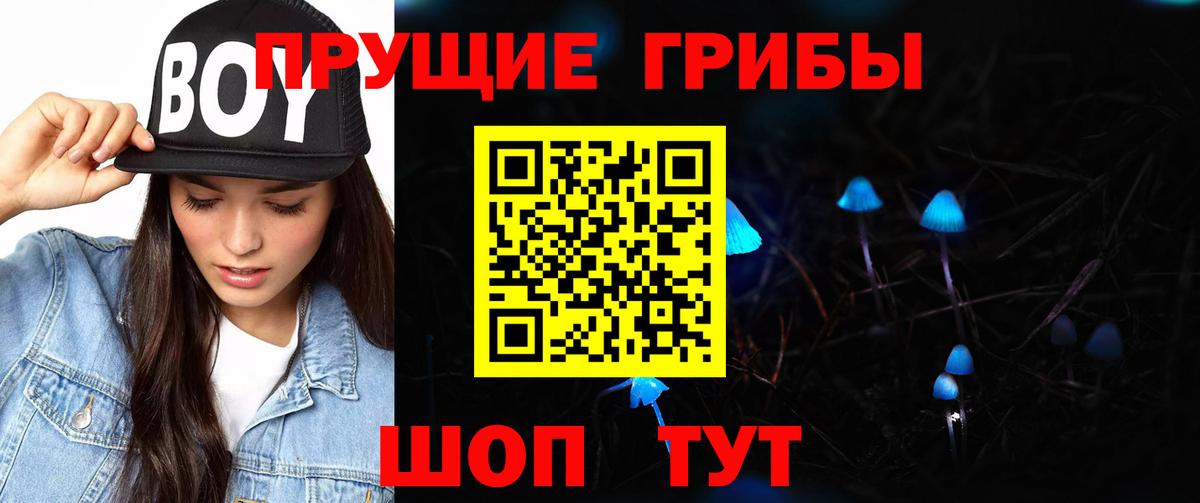Галлюциногенные грибы MAGIC MUSHROOMS  Псилоцибиновые грибы мицелий  Вход с VPN  Гурьевск 