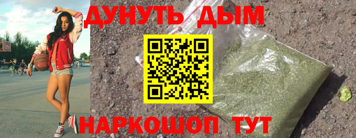 Конопля ГИДРОПОН  МАРИХУАНА план  Гурьевск  Шишки марихуана конопля  Вход с VPN 